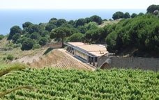 bodega alta alella cava privado-centre visitantes
