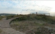 mirador vinya-miravinya