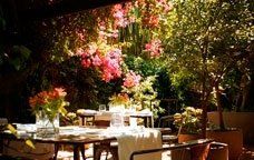 jardín restaurando Acontraluz-bcn