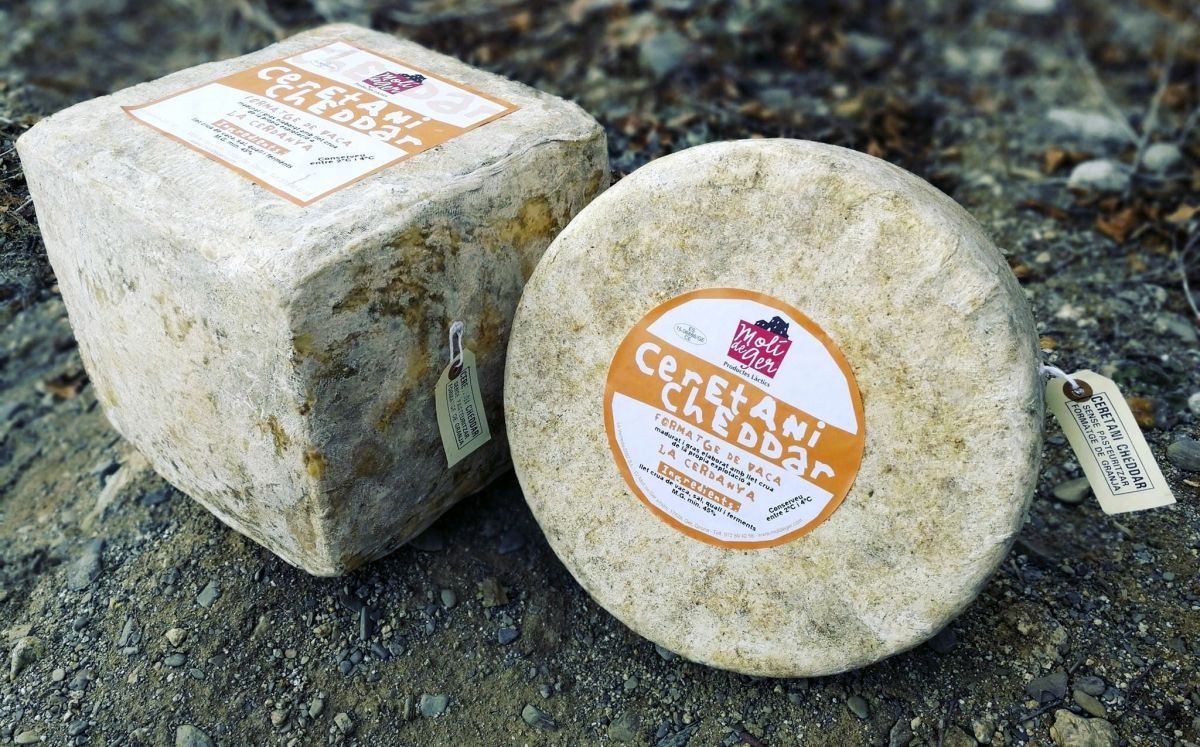 Ceretani Cheddar