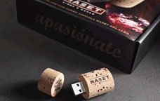 usb maset del lleó