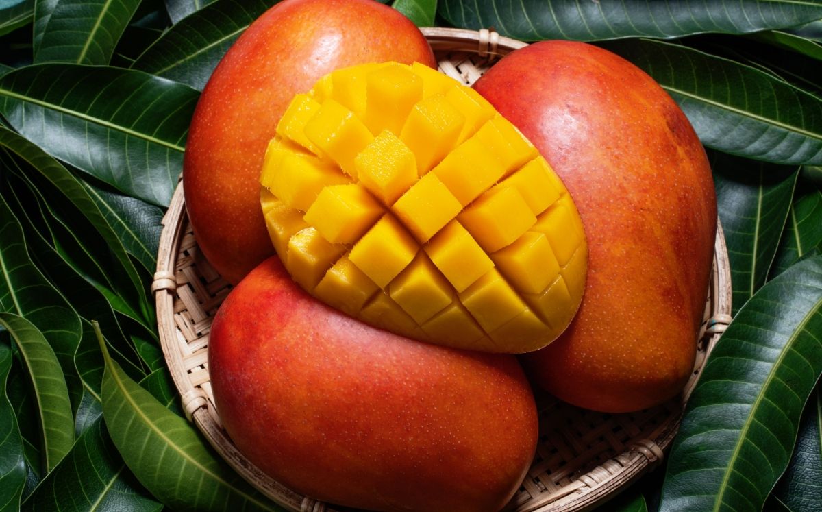 Mango