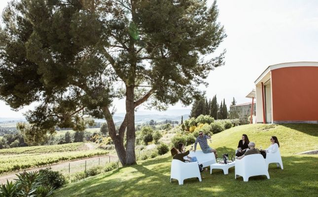 El Wine Bar, al celler Jean Leon