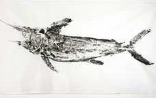 peixespasatinta