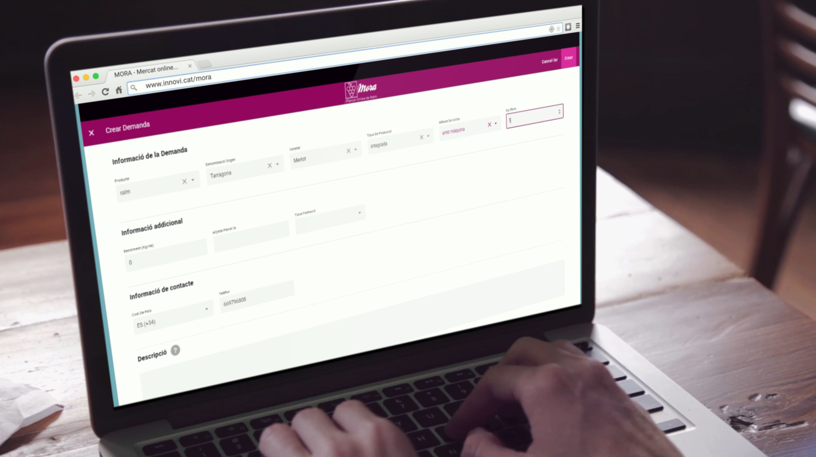 El Cl ster Vitivin cola Innovi Presenta El market Place 