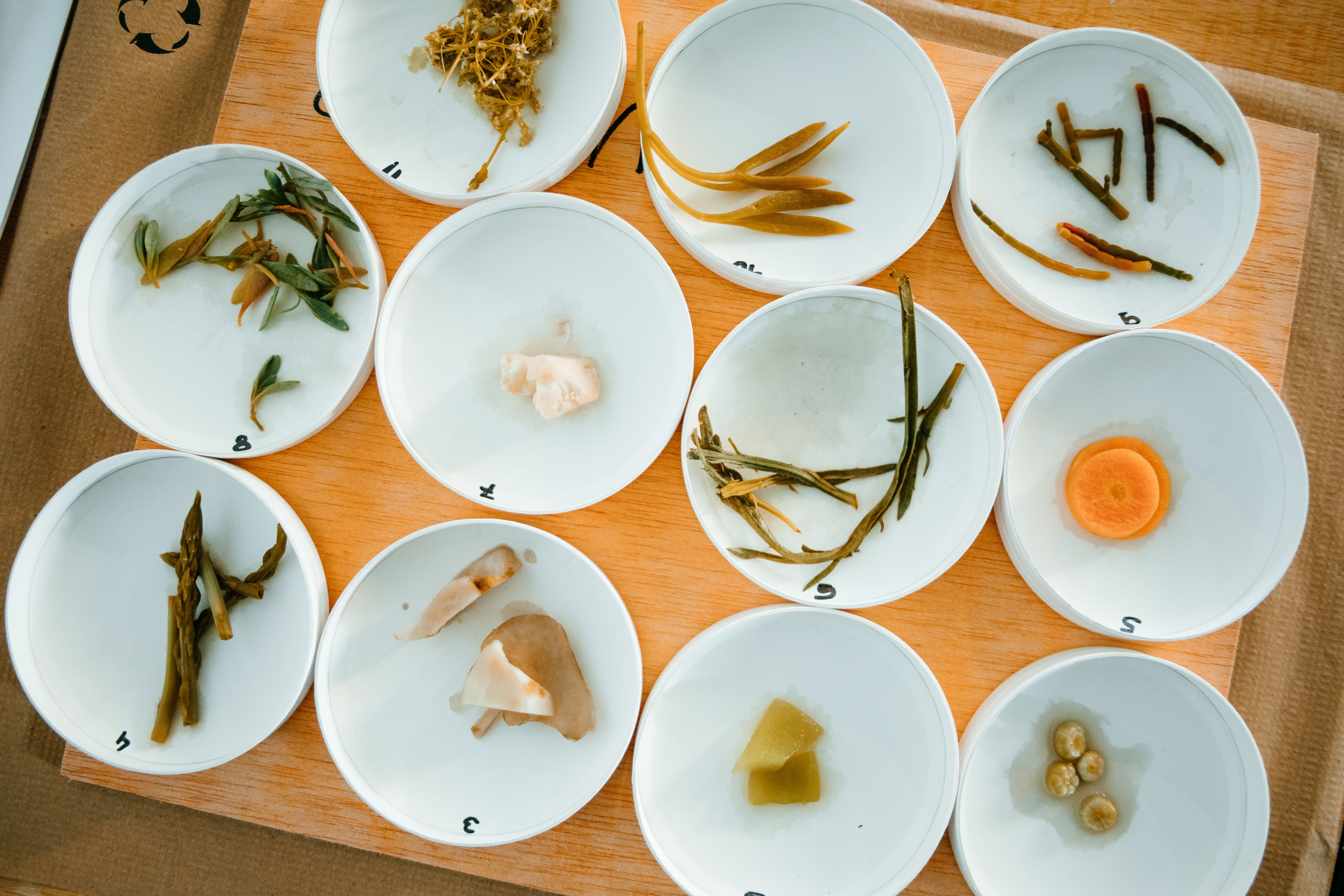 Tast de plantes oblidades