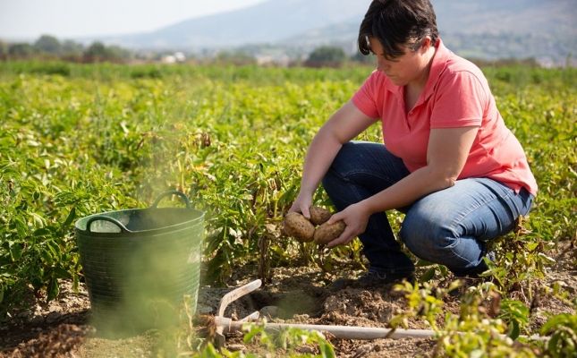 Gastroteca és el punt de trobada del sector agroalimentari català