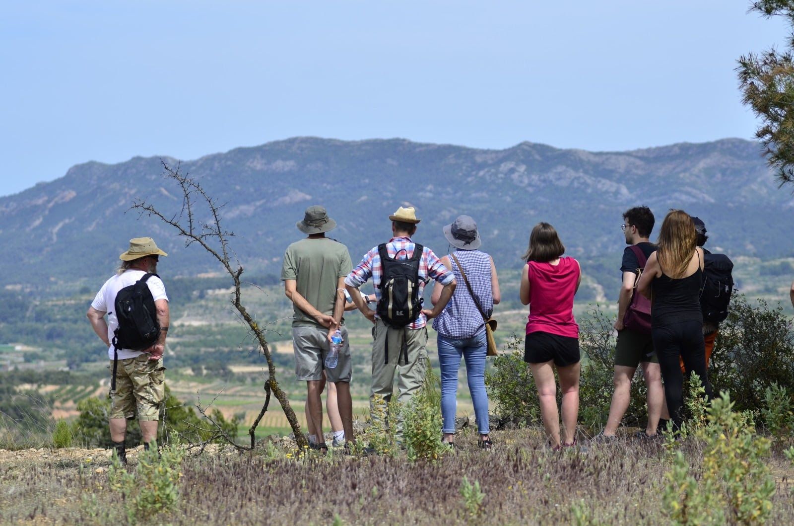 Enoturisme històric