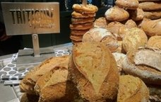 pa triticum moritz