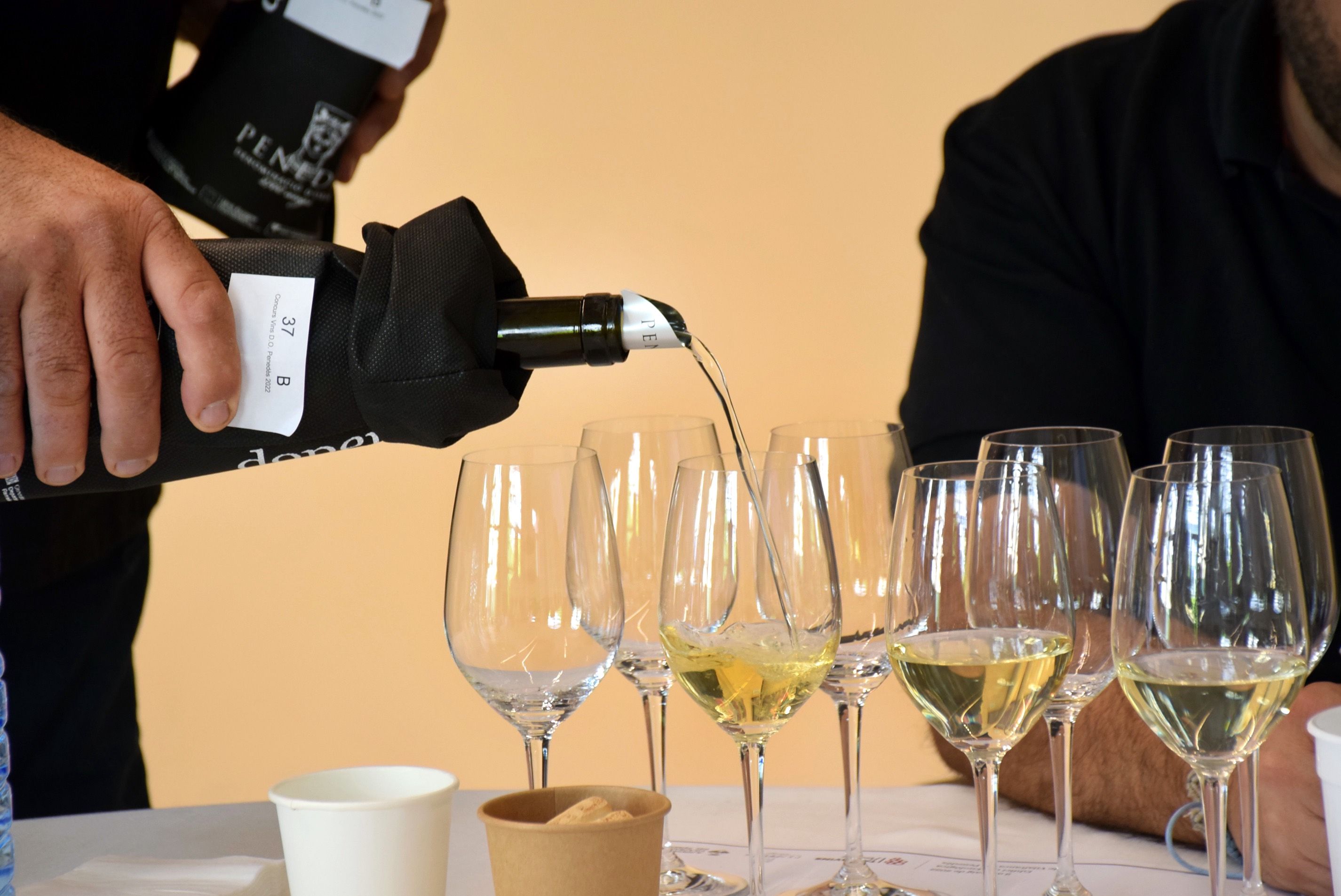 DO Penedès