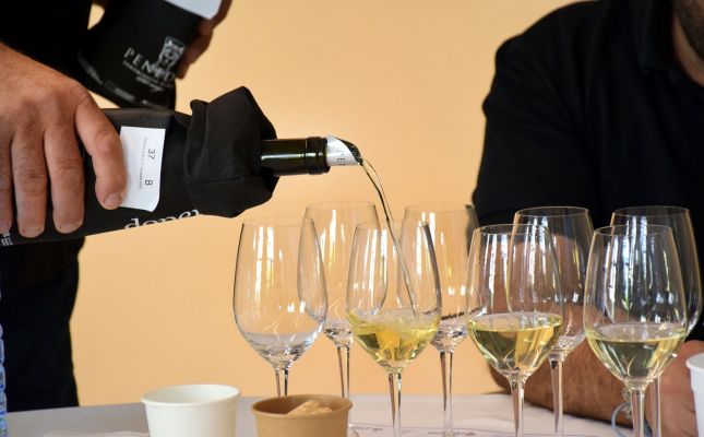 Tast del Tastavins DO Penedès