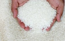 arròs blanc