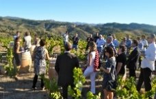 priorat enoturisme