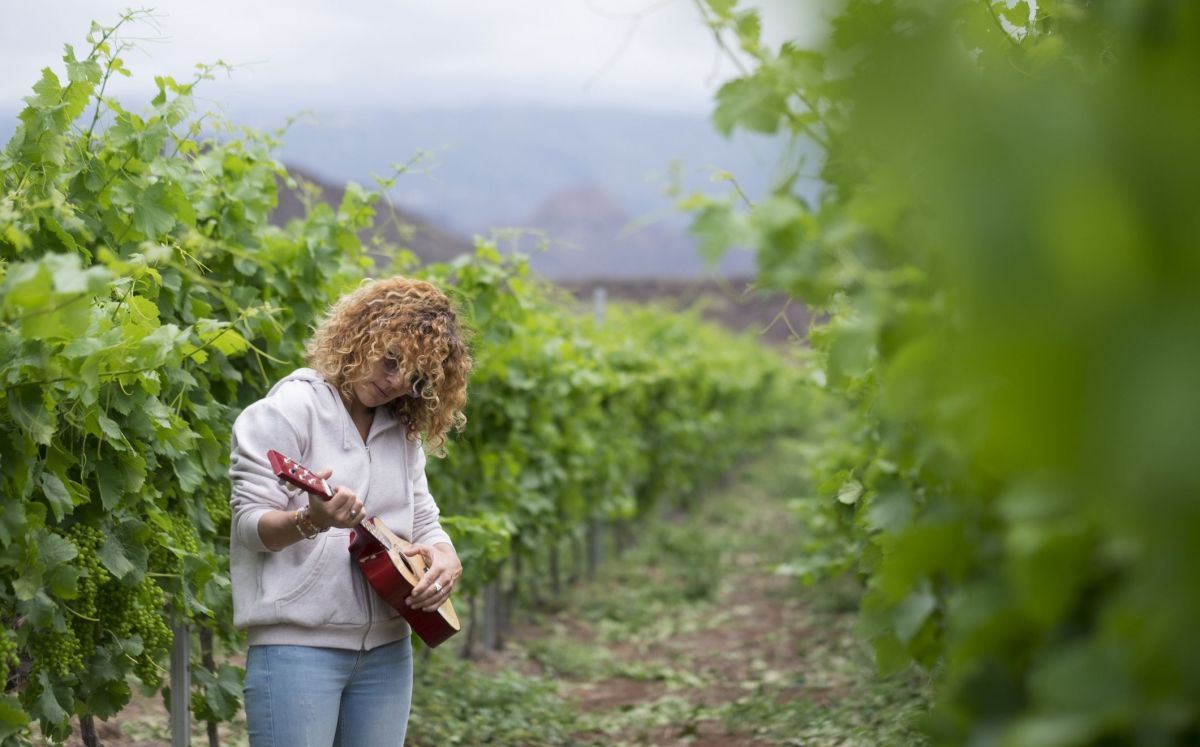 Música a la vinya