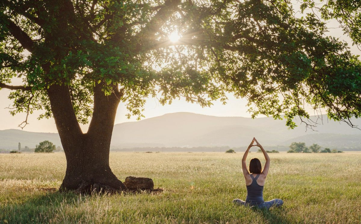Meditació a la natura