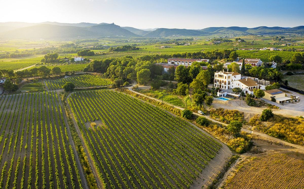 Finca i vinya