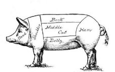 dibuix talls del porc