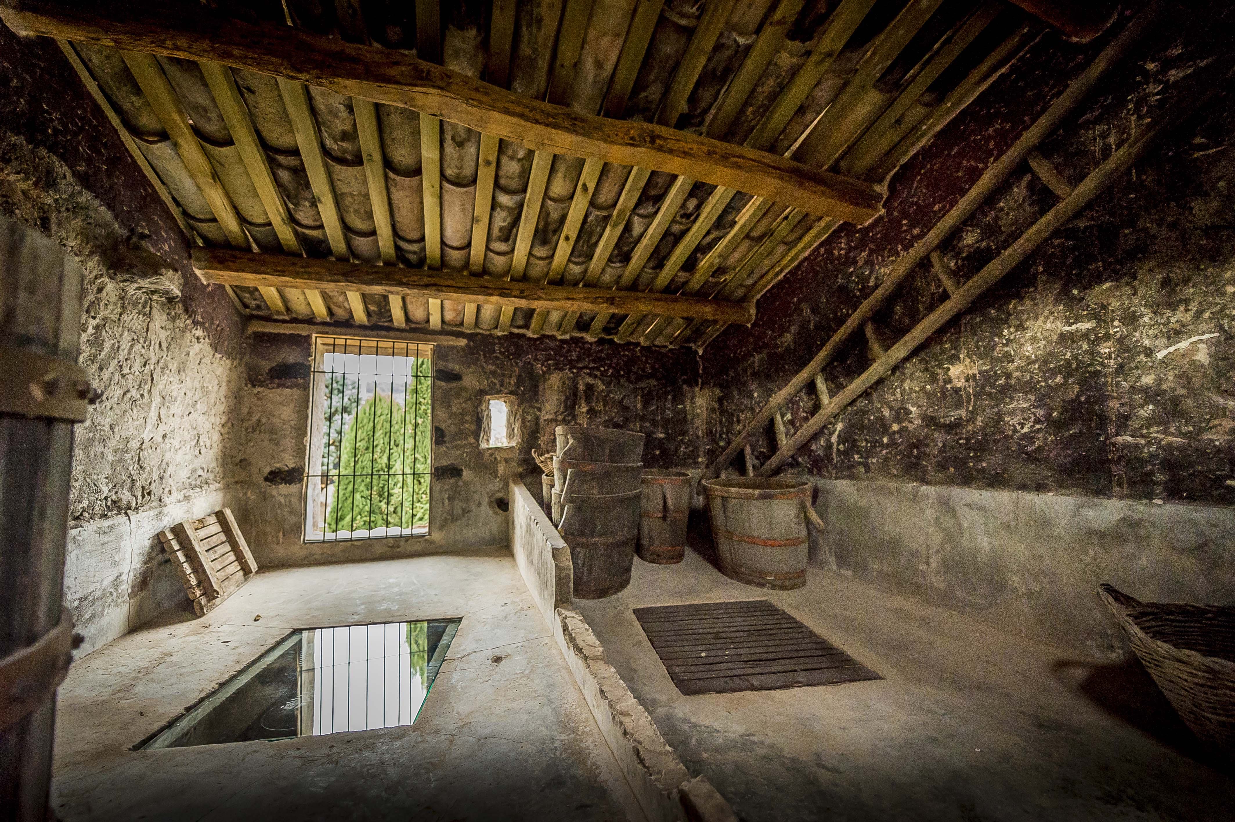 Tines dels Manxons Callús - Carles Fortuny