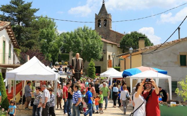 Fira d'herbes remeieres a Vilanova de Sau