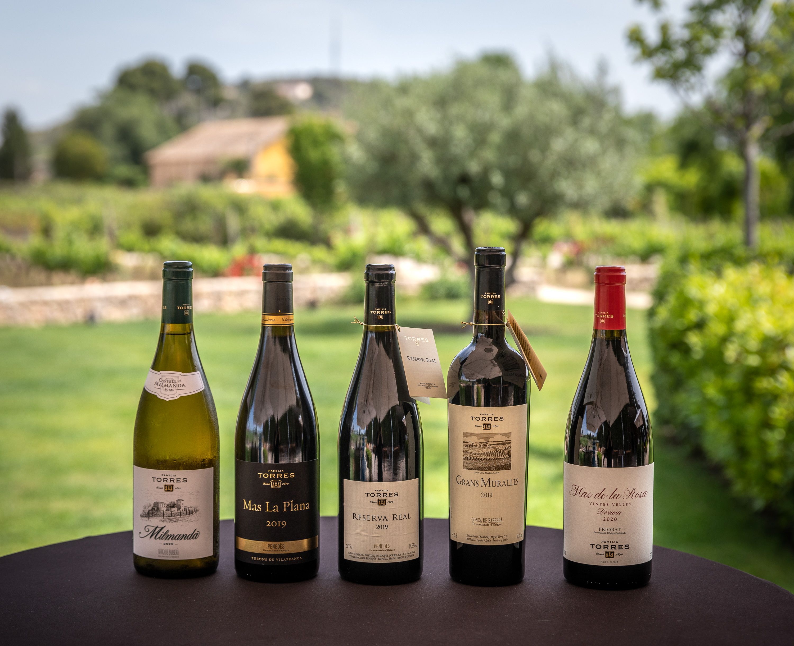 Els vins de la nova anyada de l'Antologia