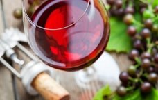 L'Espai Penedès s'inaugura el 5 de juny