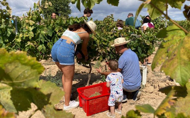 La Verema del Cava inclou activitats per a tota la família
