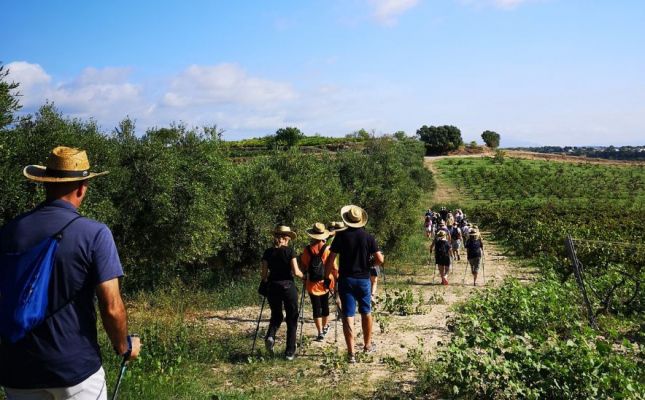 Celler Covides