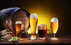 Primer Concurso de Cerveza Casera