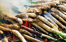 Calçots