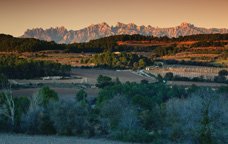Paisatge de l'Heretat Segura Viudas
