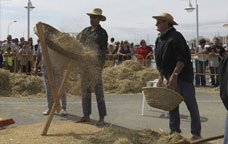 Fiestas del Arroz