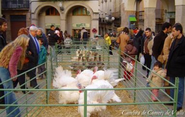 Mercat de Nadal de Valls