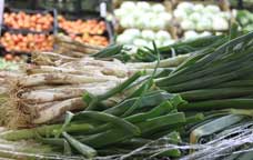 Calçots 