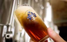 Moritz Beer Lab