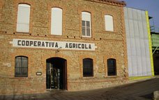 Museu de L'Oli