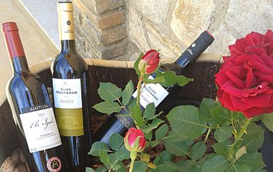 Bodega Joan Almendro
