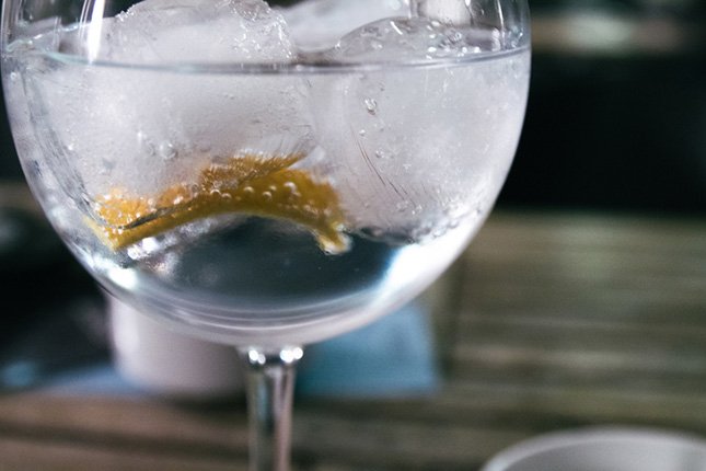 Copa de 'gin-tonic' con hielo