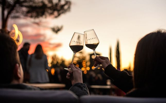 Abadal Wine Experience & Christmas Market
