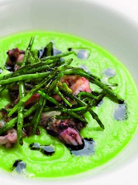 Crema de brócoli, salicornia y calamarcitos