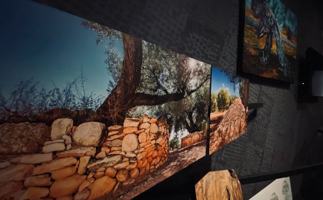 L'exposició es pot visitar fins al 2 de juny