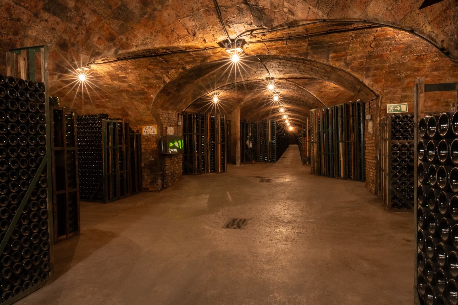 La sequera i desacords entre els productors han marcat els darrers anys del sector del cava