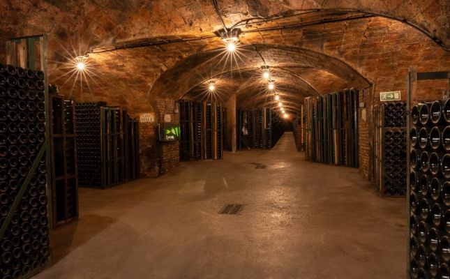 La sequera i desacords entre els productors han marcat els darrers anys del sector del cava