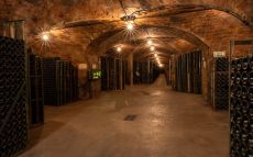 La sequera i desacords entre els productors han marcat els darrers anys del sector del cava
