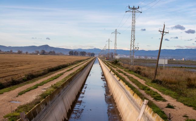 Arròs del delta de l'Ebre