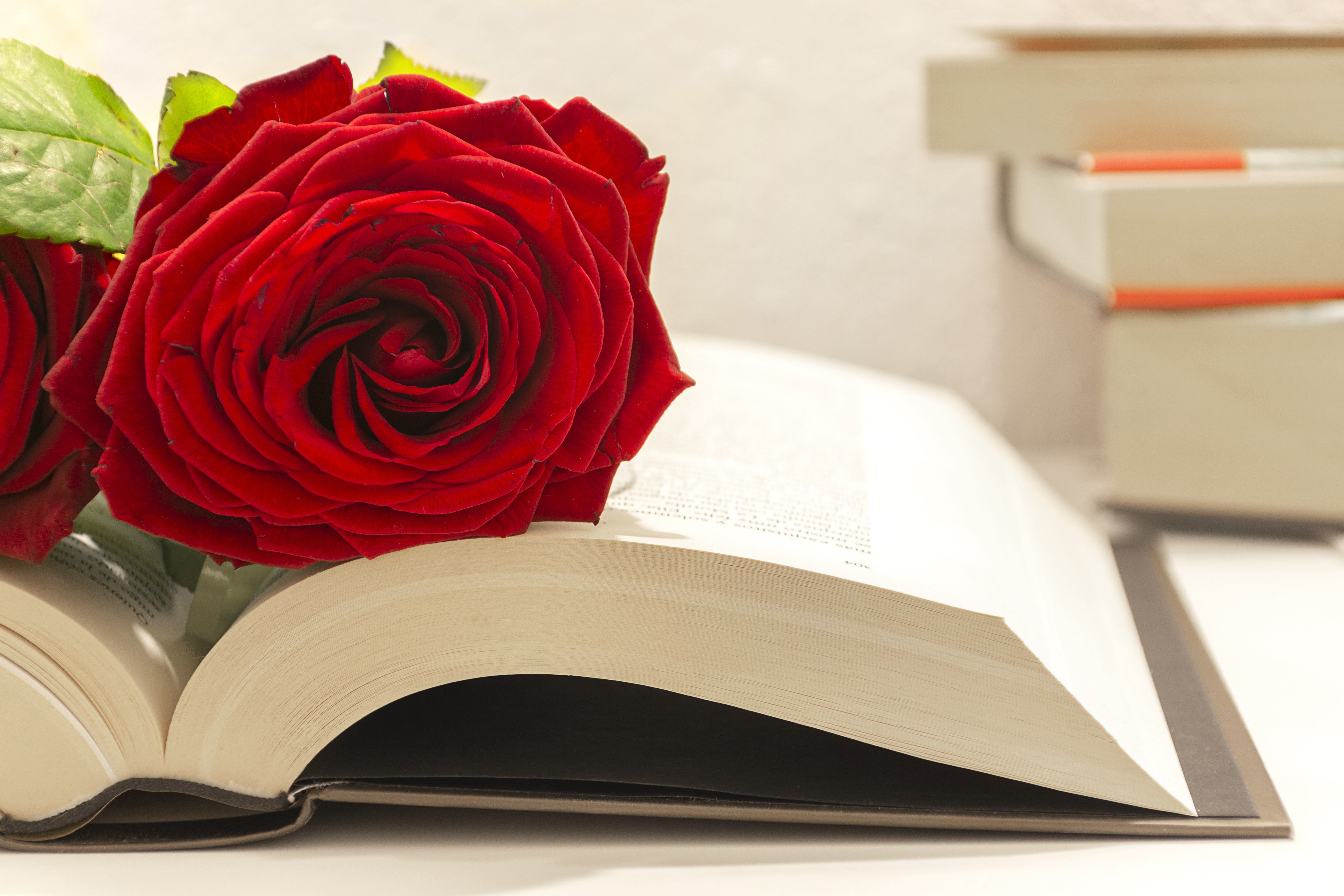 Sant Jordi
