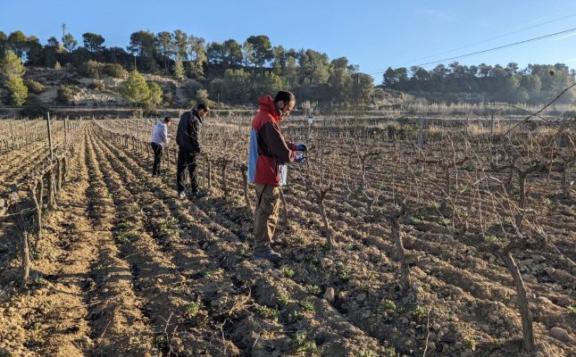 A finals de maig s'obre el període de preinscripció