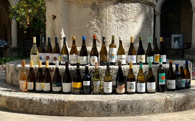 Presentació de la 15a edició de La Nit dels Xarel·los