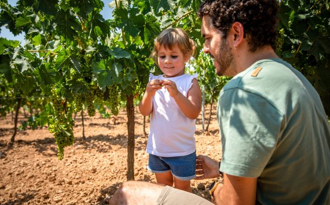 Camins del Cava proposa activitats per a totes les edats