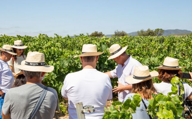 La Verema del Cava ofereix activitats entre vinyes per a tota la família