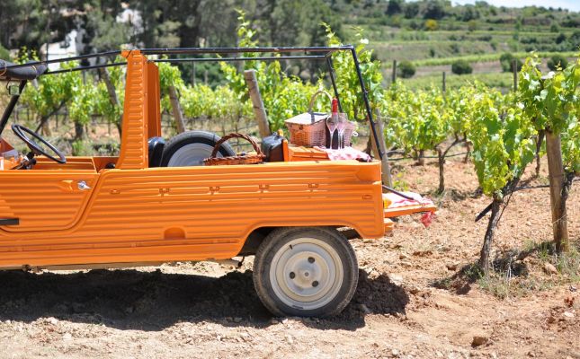 Albet i Noya proposa un safari molt singular